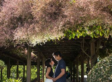 Pre Wedding de Ensaio Miyuki e Otávio