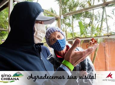 Fofurinhas de Halloween no Sítio Chibana 2020