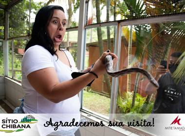 Fofurinhas de Day Use + Café da Manhã Sítio Chibana