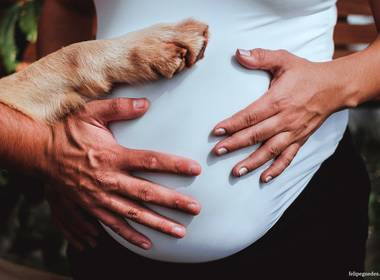 Ensaio Gestante de Lys + Marcos = Agatha