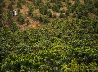 Pós-Casamento de Verônica e Marcus Gabriel
