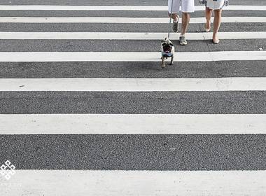 Ensaios de Ensaio - Ester e Felipe