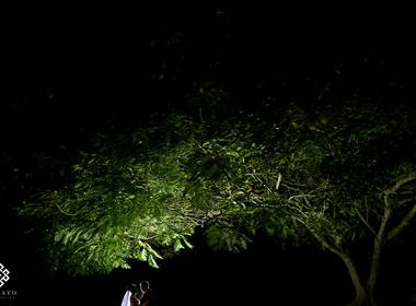 Casamentos de Jamile e Rafael