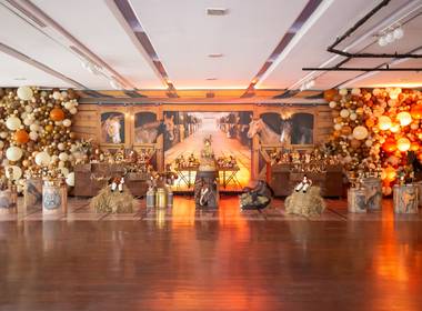 FESTAS INFANTIS de Igor Luiz 2 anos