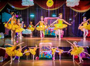 DIVERSOS de APRESENTAÇÃO BALLET JARDIM ENCANTADO