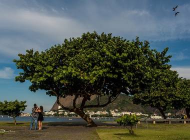 Ensaio de Família de Família Camara
