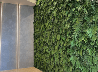 Portifolio de Parede Verde