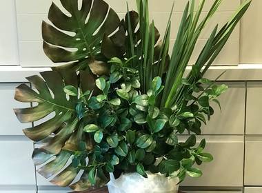 Portifolio de Arranjos