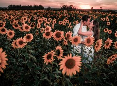 Ensaios de Ensaio nos Girassóis Tiago e Talitha