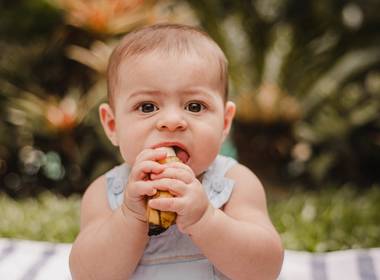 ACOMPANHAMENTO de ACOMPANHAMENTO | PEDRO 6 MESES- PORTO ALEGRE - RS