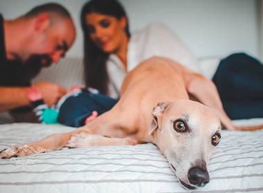 ACOMPANHAMENTO de FOTOGRAFIA DE BEBÊ | ACOMPANHAMENTO VINCE 3 MESES - PORTO ALEGRE