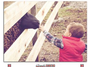 Ensaio Infantil de Miguel
