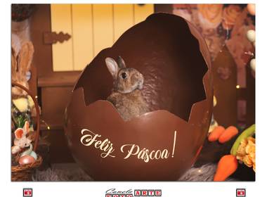 Ensaios de Páscoa de Páscoa 2026