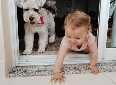 Eventos de Primeiro ano da Laura