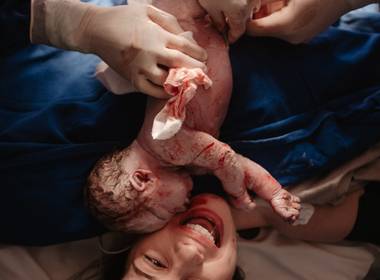 Nascimentos de O nascimento da Maria Teresa