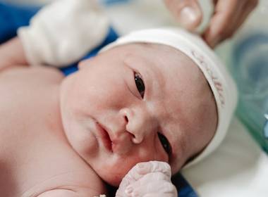 Nascimentos de A chegada da Cecília