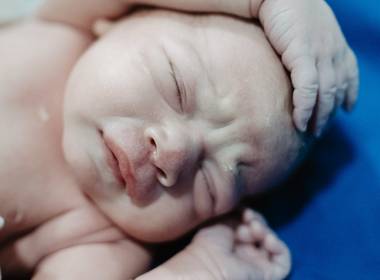 Nascimentos de O nascimento da Laura