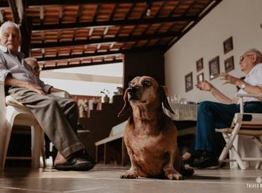 Documental de Família de Família Senhorinha