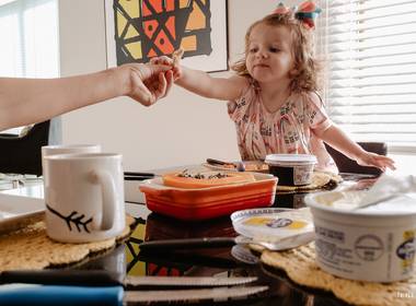 Documental de Família de Família Trierveiler Varella