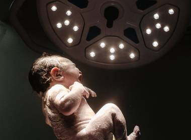 Nascimentos de O nascimento do Eduardo