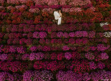 Pre Wedding de Pre Wedding Laura e Léo