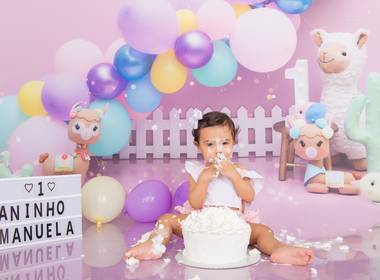 Ensaio Infantil Temático de Lhama e Bichinhos