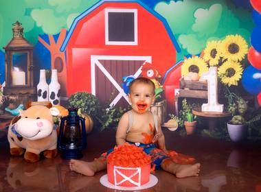 Ensaio Infantil Temático de Fazendinha