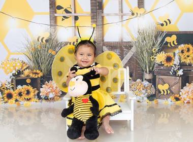 Ensaio Infantil Temático de Abelhinha