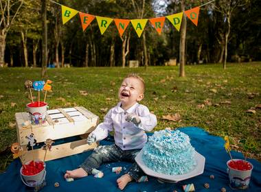 SMASH THE CAKE de Smash The Cake - Bernardo Comin