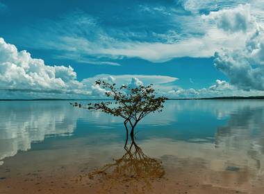 Natureza de Amazônia - Brasil