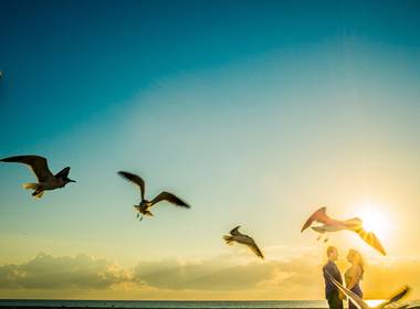 Ensaios Fotográficos de Ensaio em Miami EUA | Destination Session