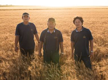 Agricultura de Fotografia Agrícola