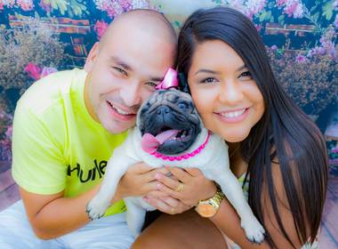 Ensaios com os bichinhos de estimação de Ensaio da linda cadelinha Catarina.