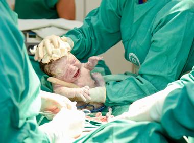 Outros de A Chegada de Bernardo