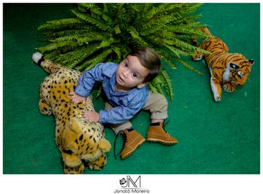 Aniversários de Safari do Gustavo 1º Aninho