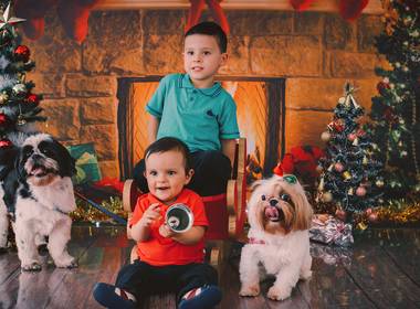 Ensaio Infantil de Sessão de Natal - Bernardo 3 aninhos e Pedro 8 meses 