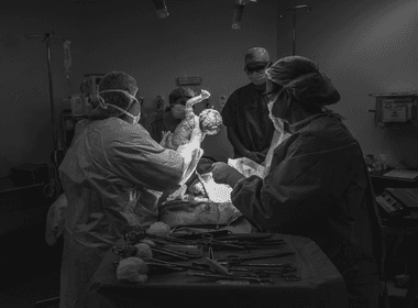 Partos de Nascimento do Lucas