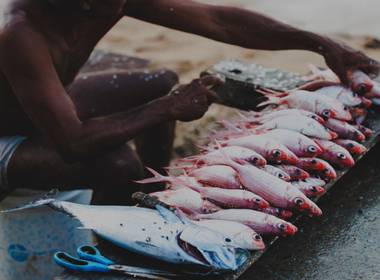 Ensaio de Bahia, minha preta