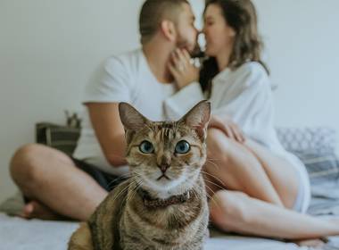 CASAMENTO de Taci & Jonathan [bodas de papel]