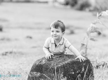 Ensaios de Carlos Alexandre