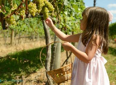 Eventos de 4 Anos Manuela