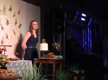 Eventos de 15 Anos Marina