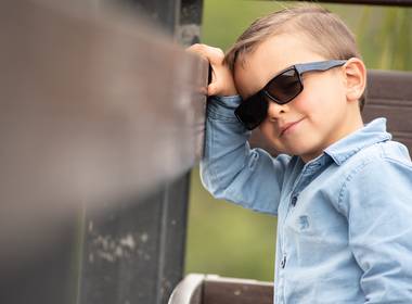 Ensaios de Pedro Augusto