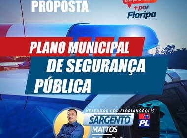 Plano de segurança de PLANO MUNICIPAL DE SEGURANÇA PÚBLICA