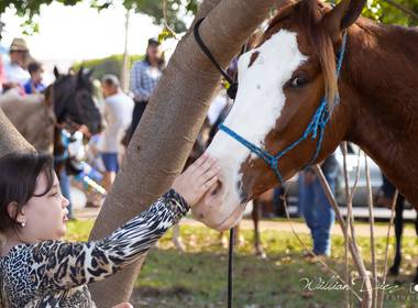 Shows e Baladas de Cavalgada da 28º Edição do Rodeio de Sertãozinho 2018