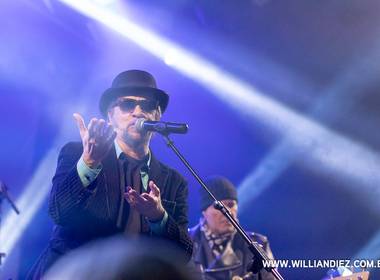 Shows e Baladas de Show Camisa de Vênus