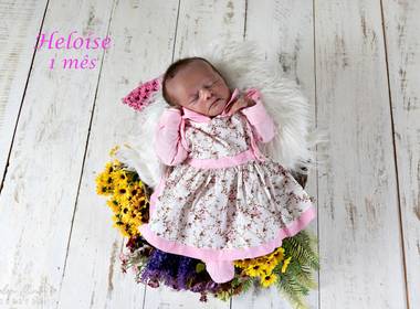 Acompanhamento Bebês de Heloíse 1 mês