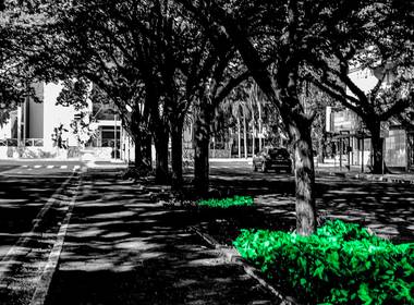 natureza - paisagem de Verde Natural