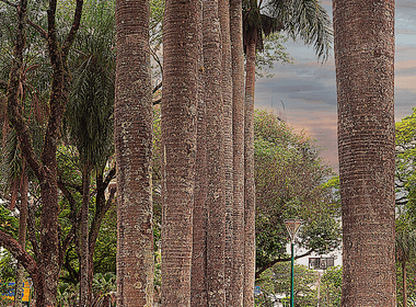 natureza - paisagem de Praça Central da Cidade