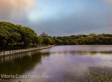 natureza - paisagem de Lago do Parque Alfredo Nyffler